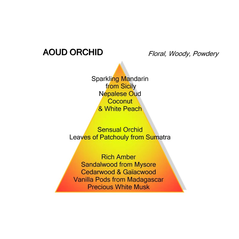 Aoud Orchid