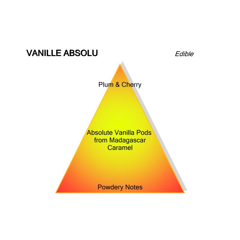 Vanille Absolu