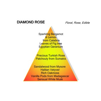 Diamond Rose | Diamond Collection Montale | De Parfumeur