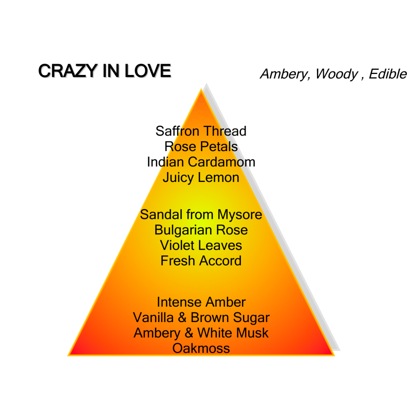 Crazy in Love