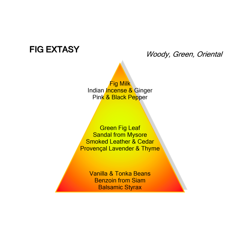 Fig Extasy