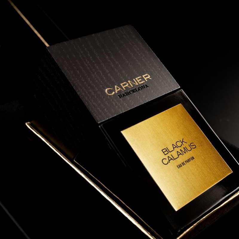 Black Calamus