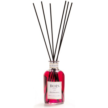 Ontdek de Home Fragrance Collectie van Bois 1920