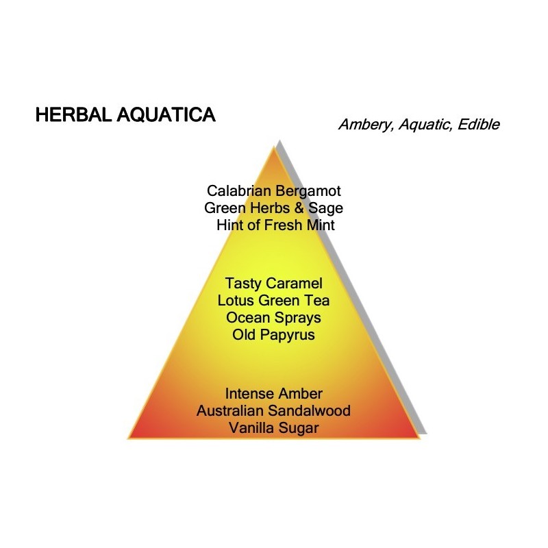 Herbal Aquatica van Montale is exclusief verkrijgbaar bij De Parfumeur
