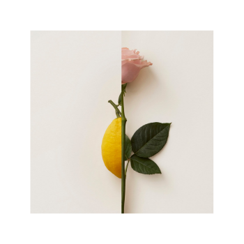 Want to buy Rosa Limone by NEW NOTES?
