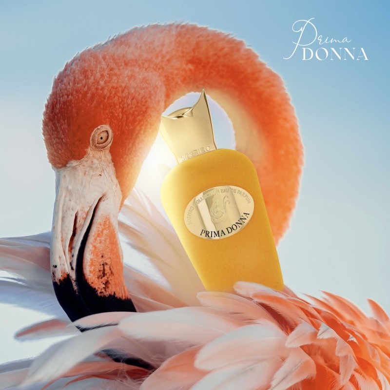 Are you looking to buy Prima Donna from Sospiro?