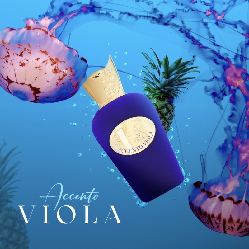 Accento Viola van Sospiro kopen?