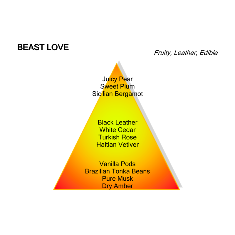Montale Beast Love 100ML Eau de Parfum | The Parfumeur