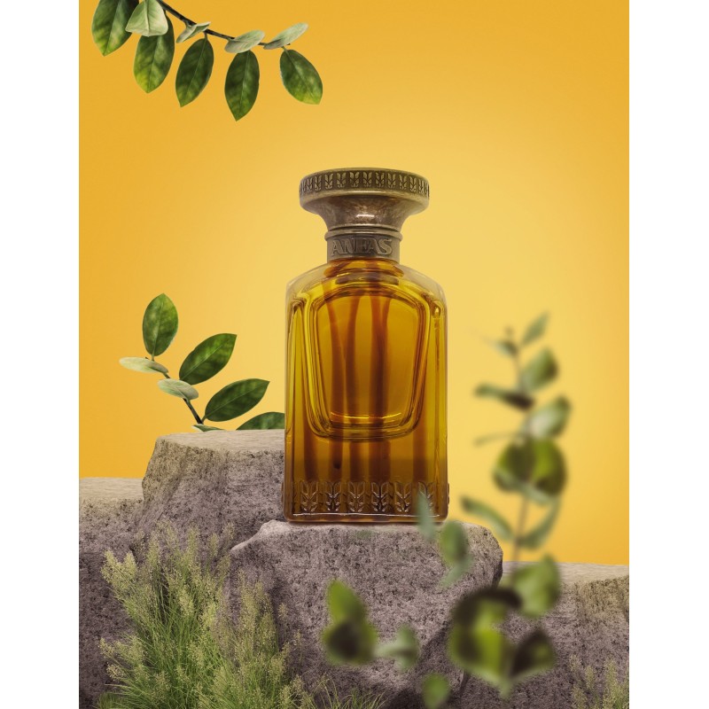 Anfas Haneen 75ML Eau de Parfum | The Parfumeur