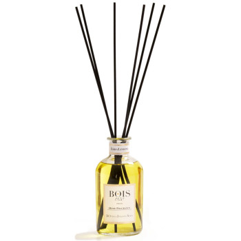 Discover the home fragrance collection of Bois 1920